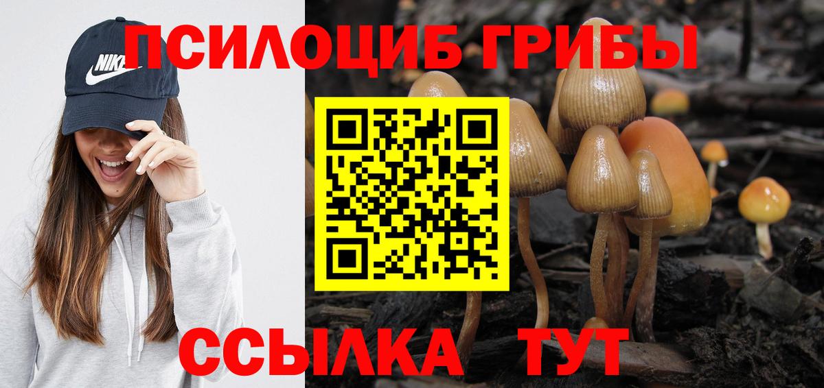 Псилоцибиновые грибы Psilocybine cubensis Кулебаки