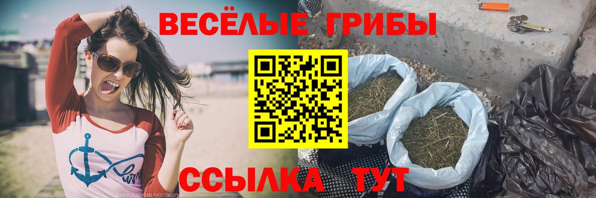 Кулебаки  Псилоцибиновые грибы GOLDEN TEACHER  Вход с VPN 